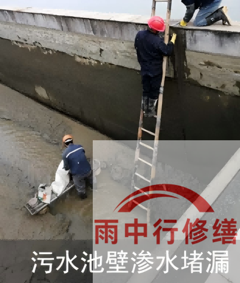 马鞍山2026年防水龙头半月两次涨价，行业格局重塑信号