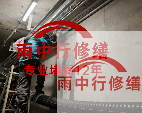 马鞍山电缆线空洞堵漏加固案例