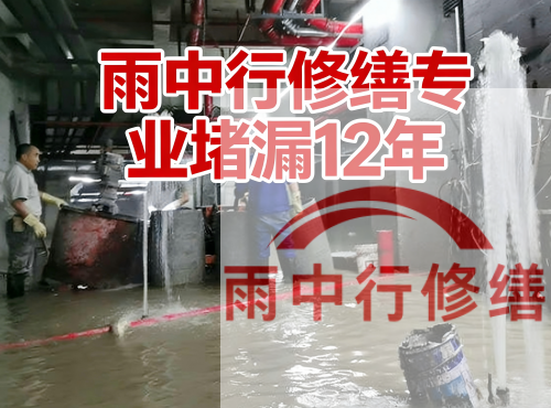 马鞍山中国五矿某大型污水处理厂堵漏案例